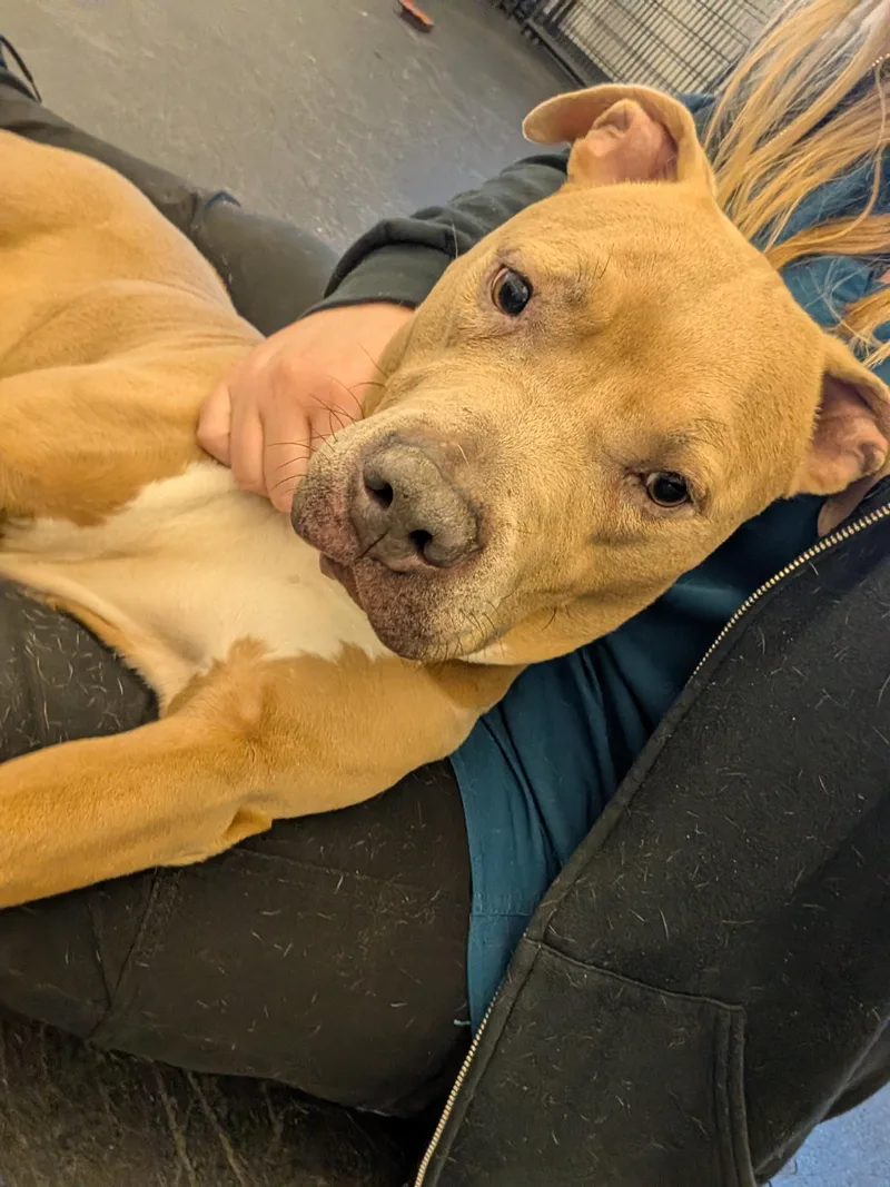 Jean Grey thumbnail 3