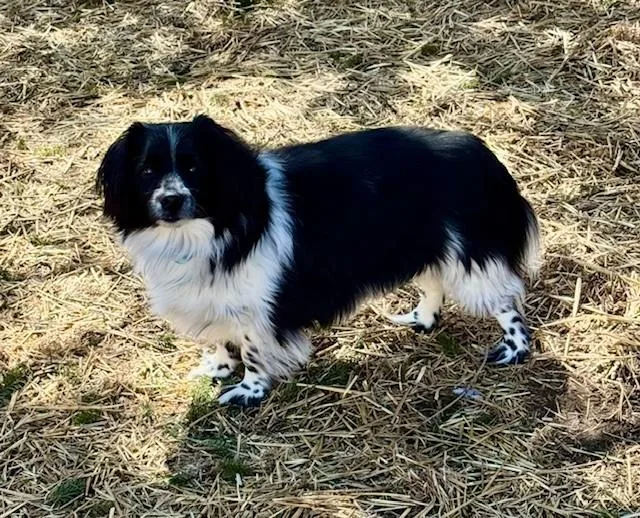 Maximo & Luna Kiss thumbnail 3