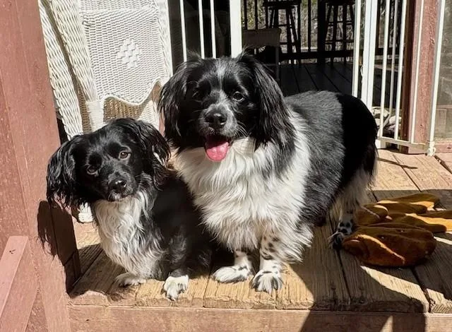 Maximo & Luna Kiss thumbnail 4