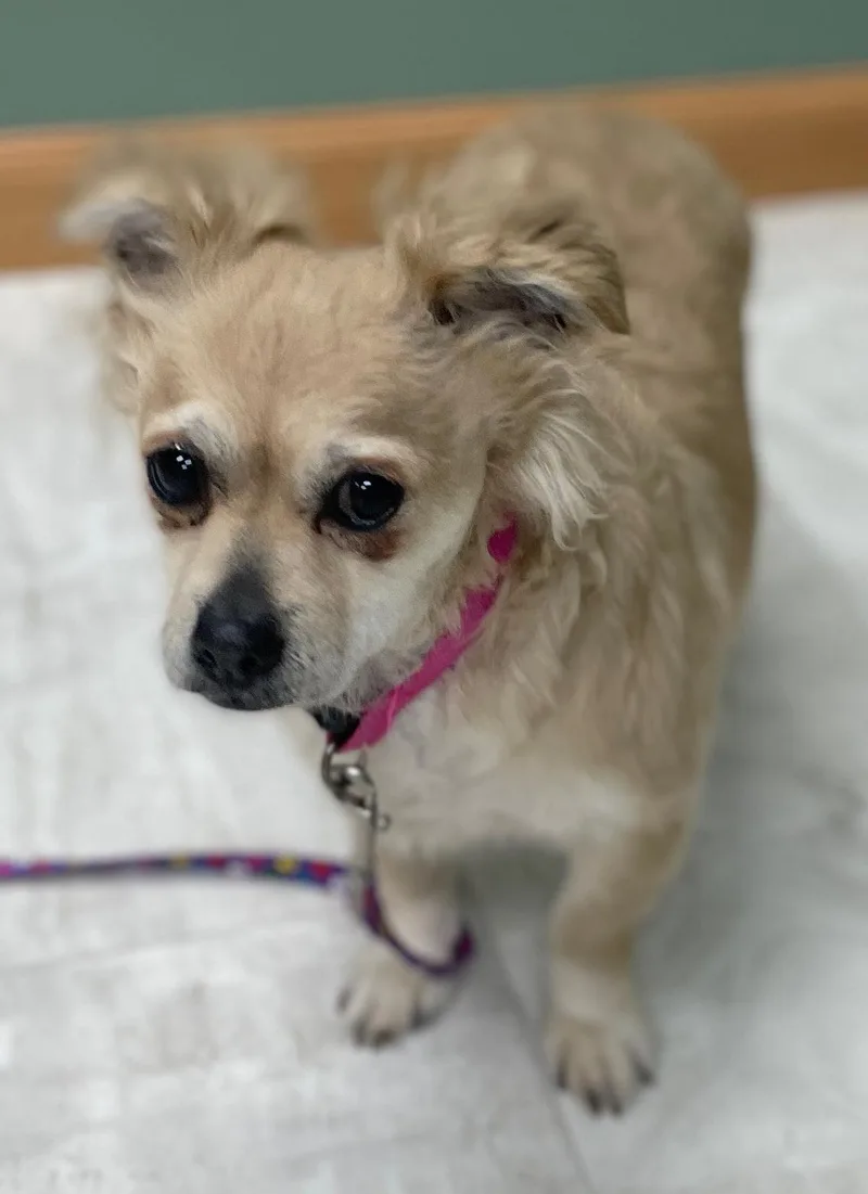 Daisy Mae thumbnail 3