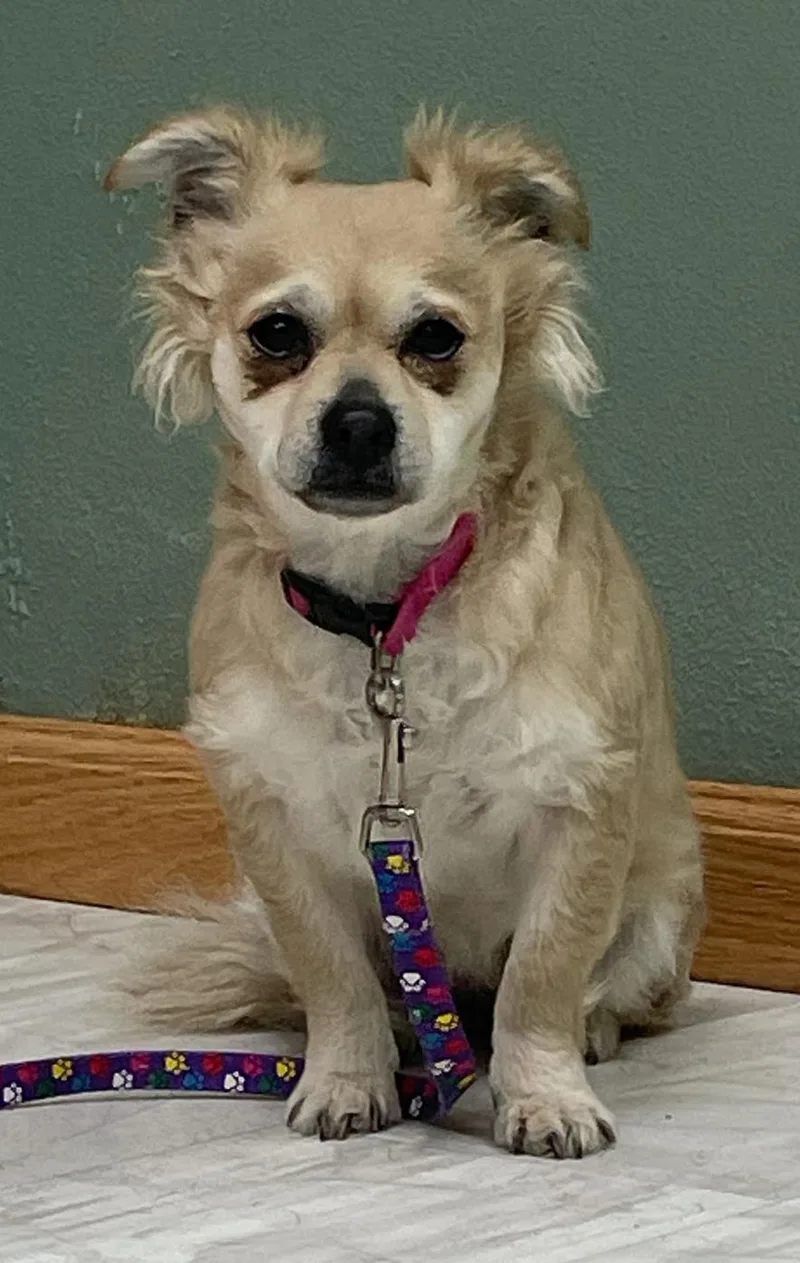 Daisy Mae thumbnail 5