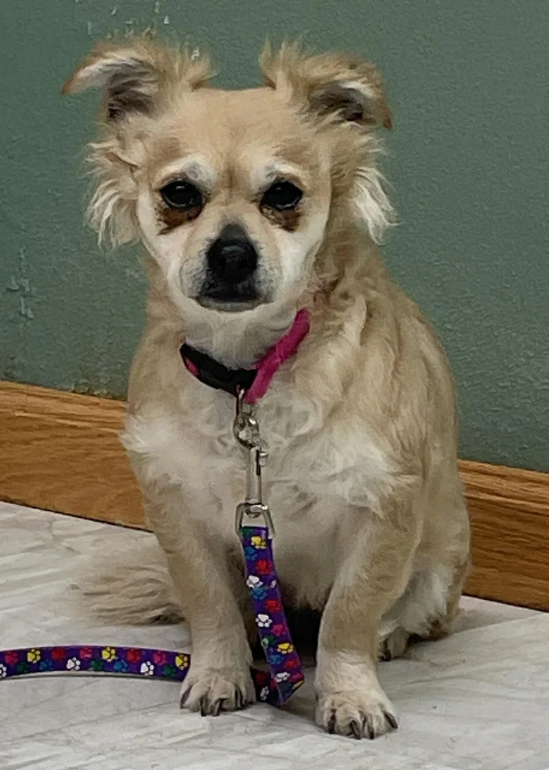 Daisy Mae thumbnail 6