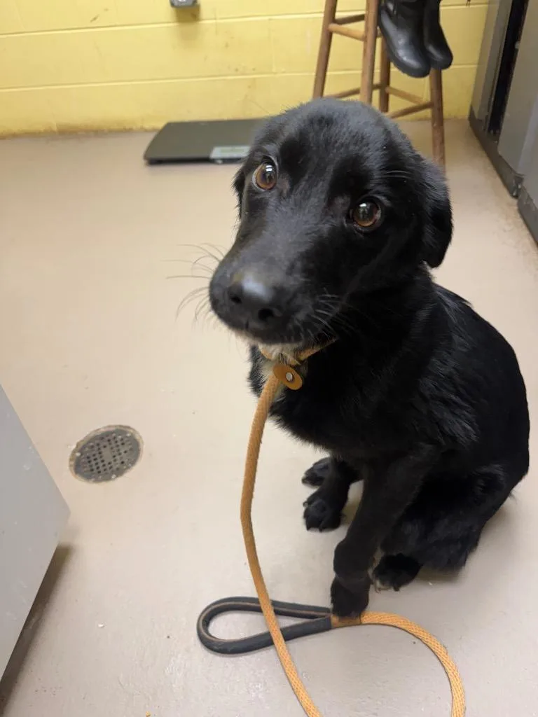 Terkeles thumbnail 2