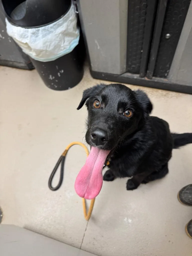 Terkeles thumbnail 3