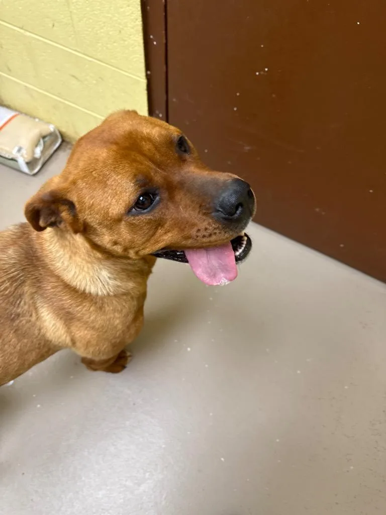 Big Mumma thumbnail 2