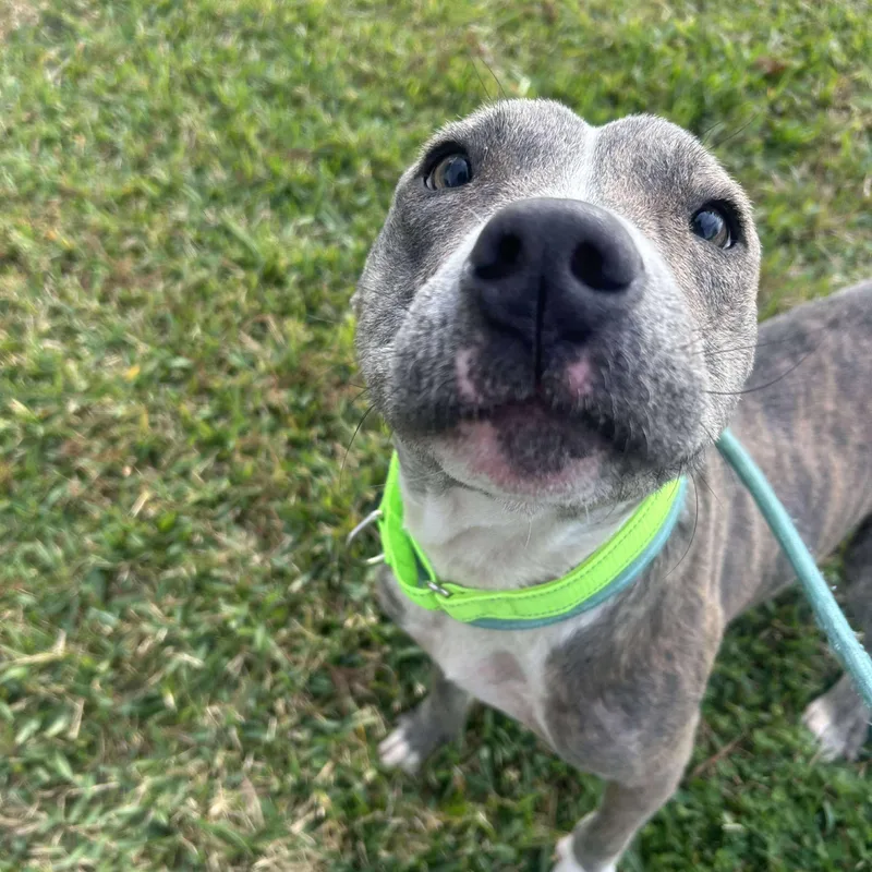 Nicholas thumbnail 3