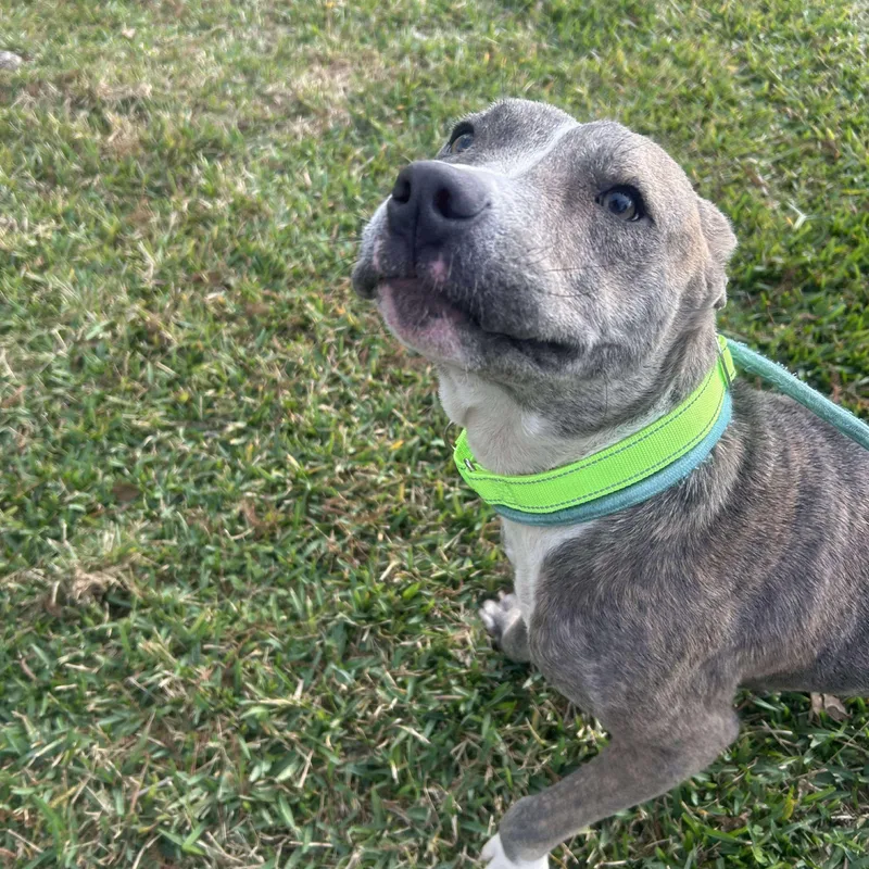 Nicholas thumbnail 4