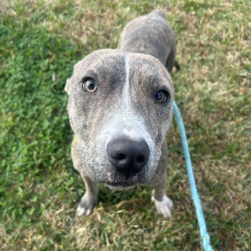 Nicholas thumbnail 5