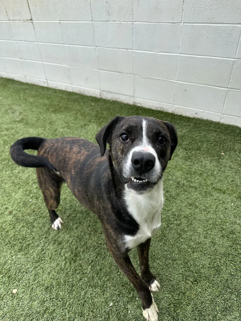 Lowery Dixon thumbnail 3