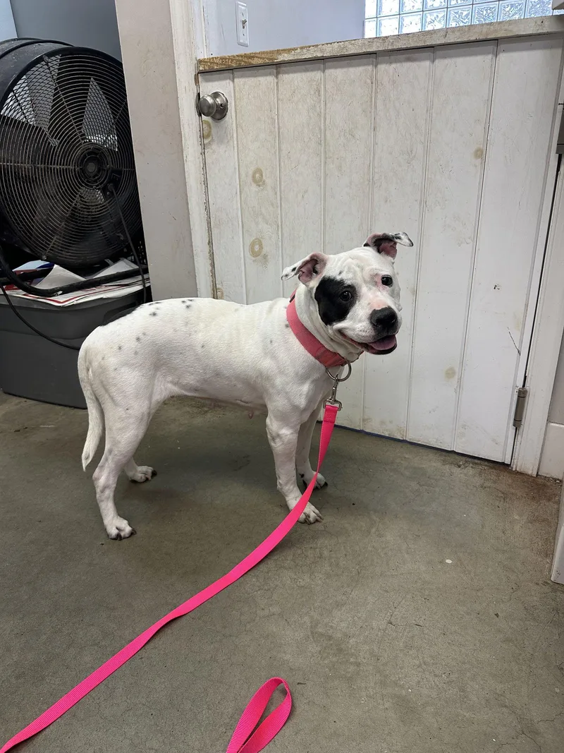 Shiloh Nj thumbnail 2