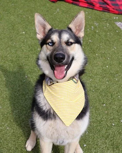 Stevie Athens thumbnail 2