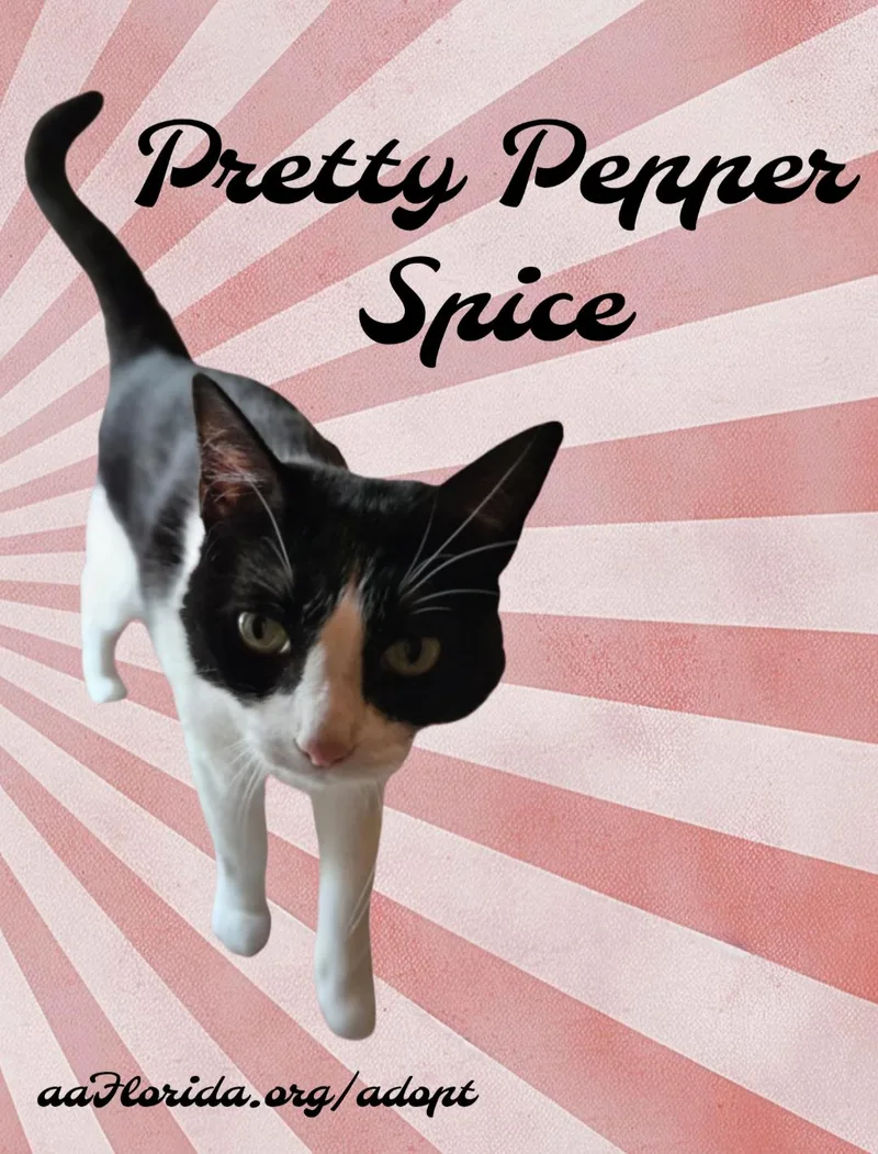 Pepper thumbnail 2