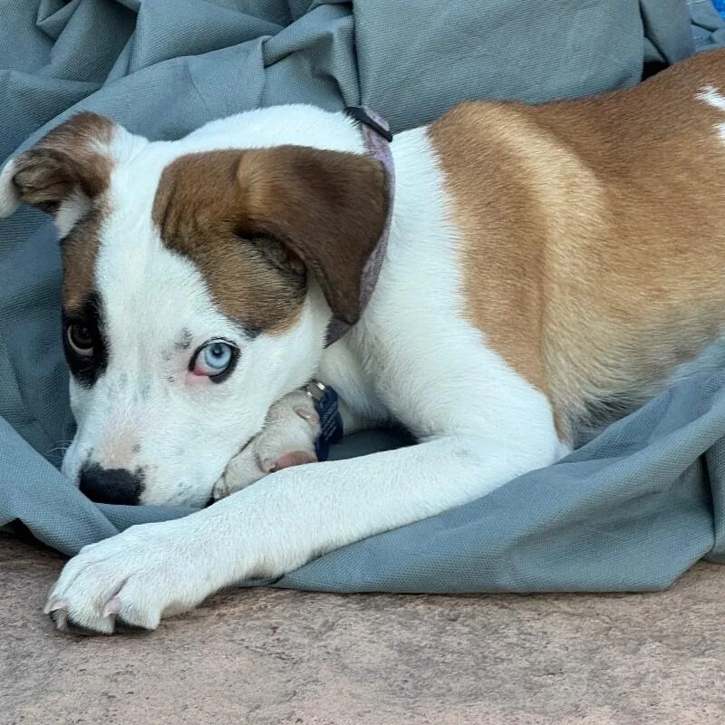 Luna Lee thumbnail 2