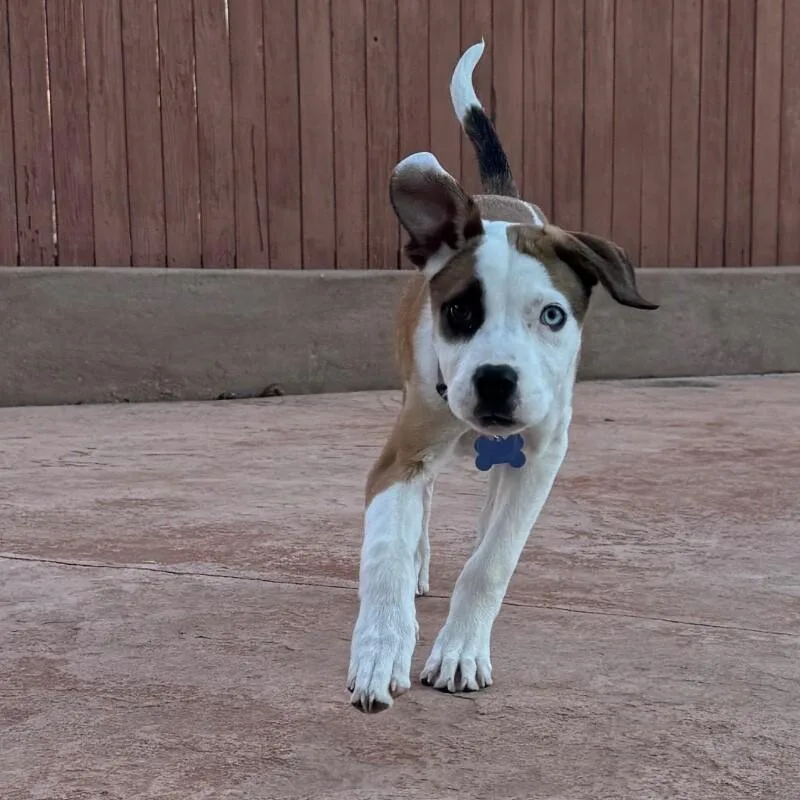 Luna Lee thumbnail 3