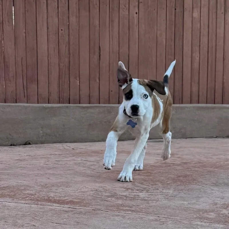 Luna Lee thumbnail 4