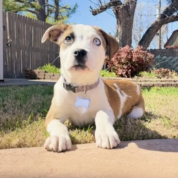 Luna Lee thumbnail 5