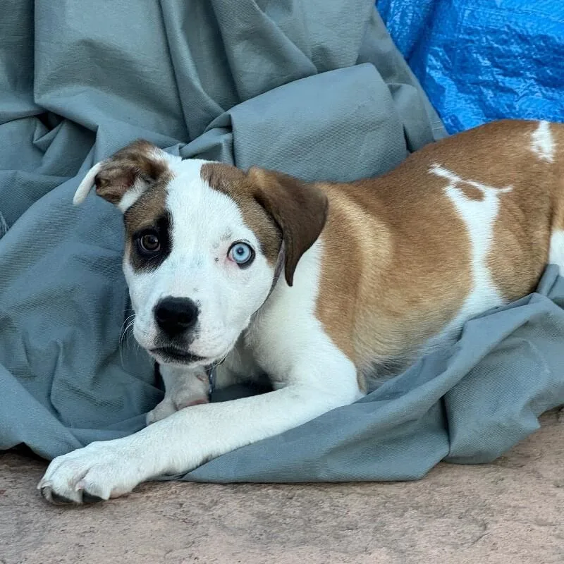 Luna Lee thumbnail 6