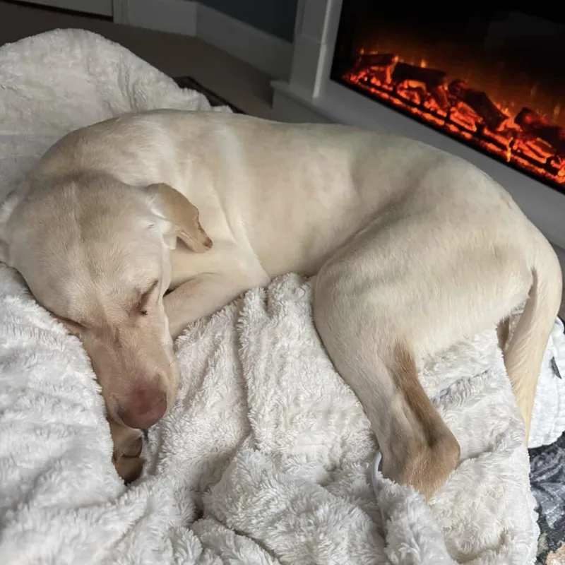 Letterman thumbnail 4