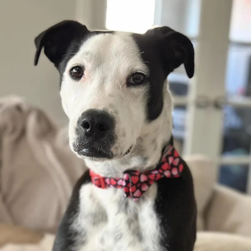 Treasure thumbnail 2