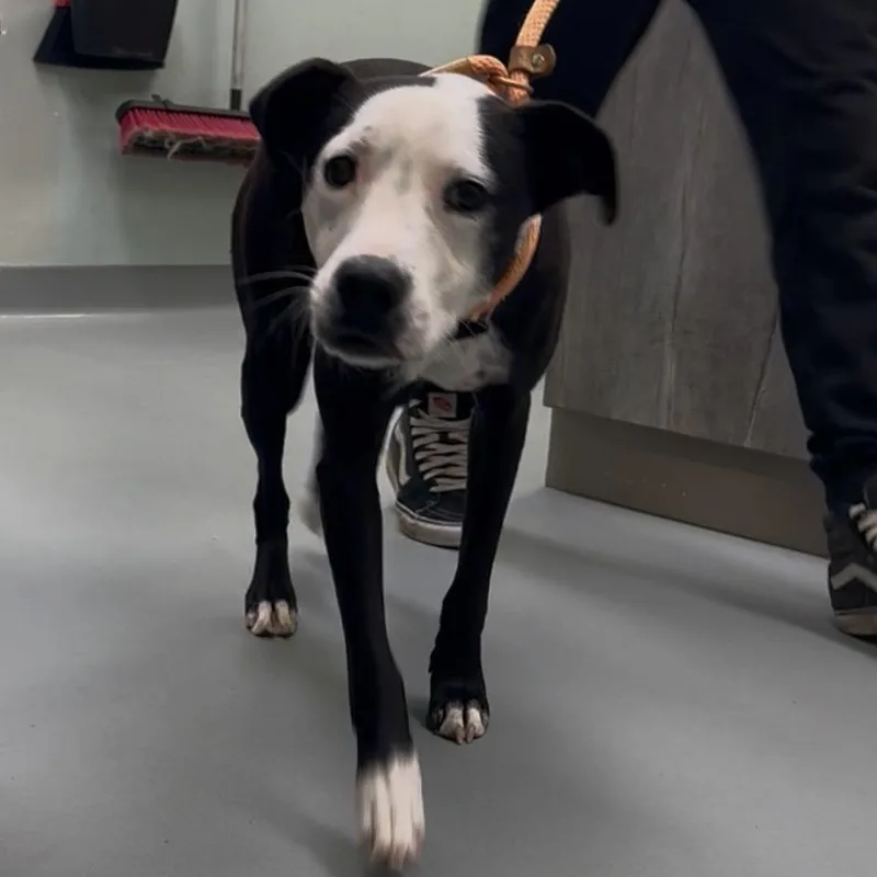 Treasure thumbnail 3