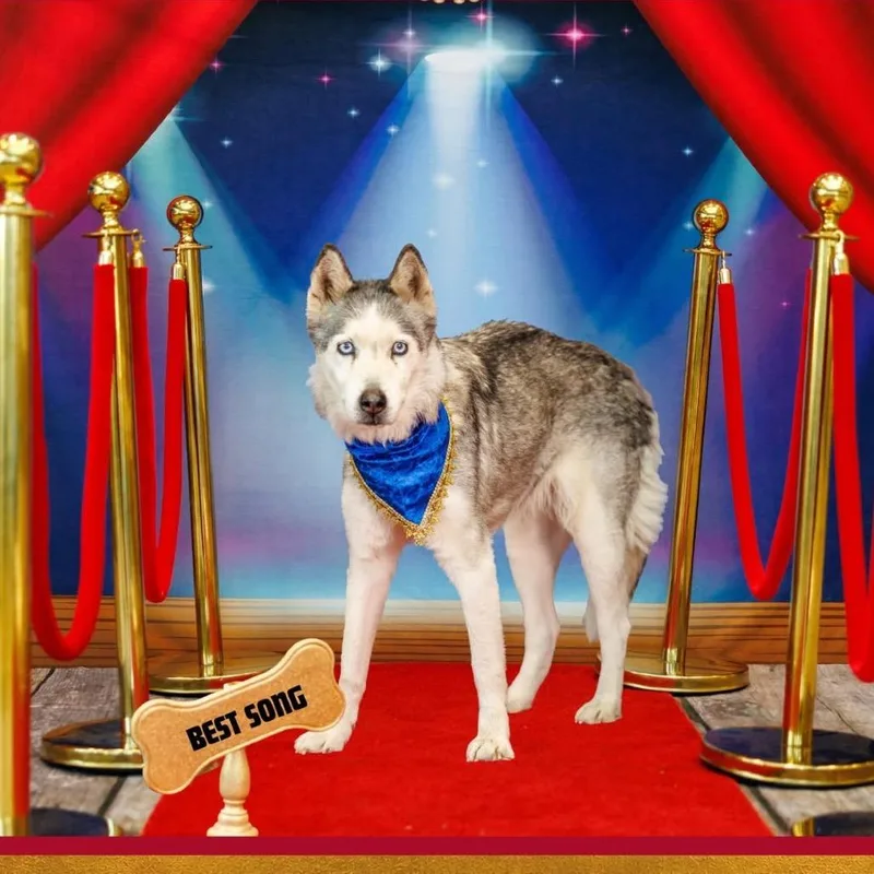 Fwt Mitzi thumbnail 2