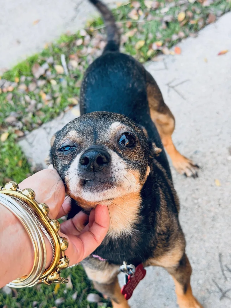 Dynamic Duo Looking For thumbnail 3