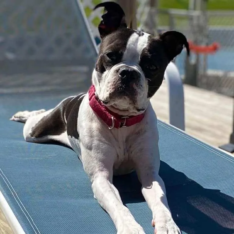 Petey Pablo thumbnail 2