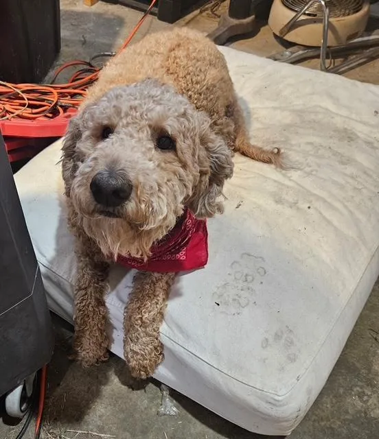 Maverick thumbnail 2