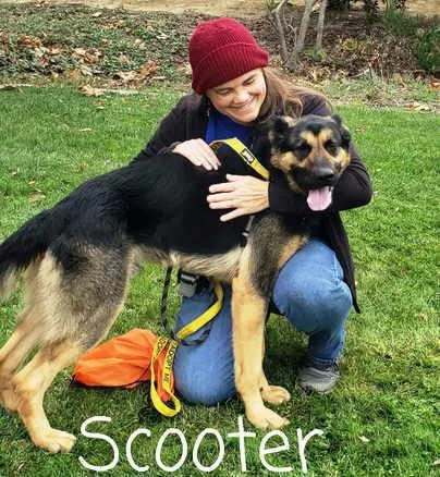 Scooter thumbnail 2