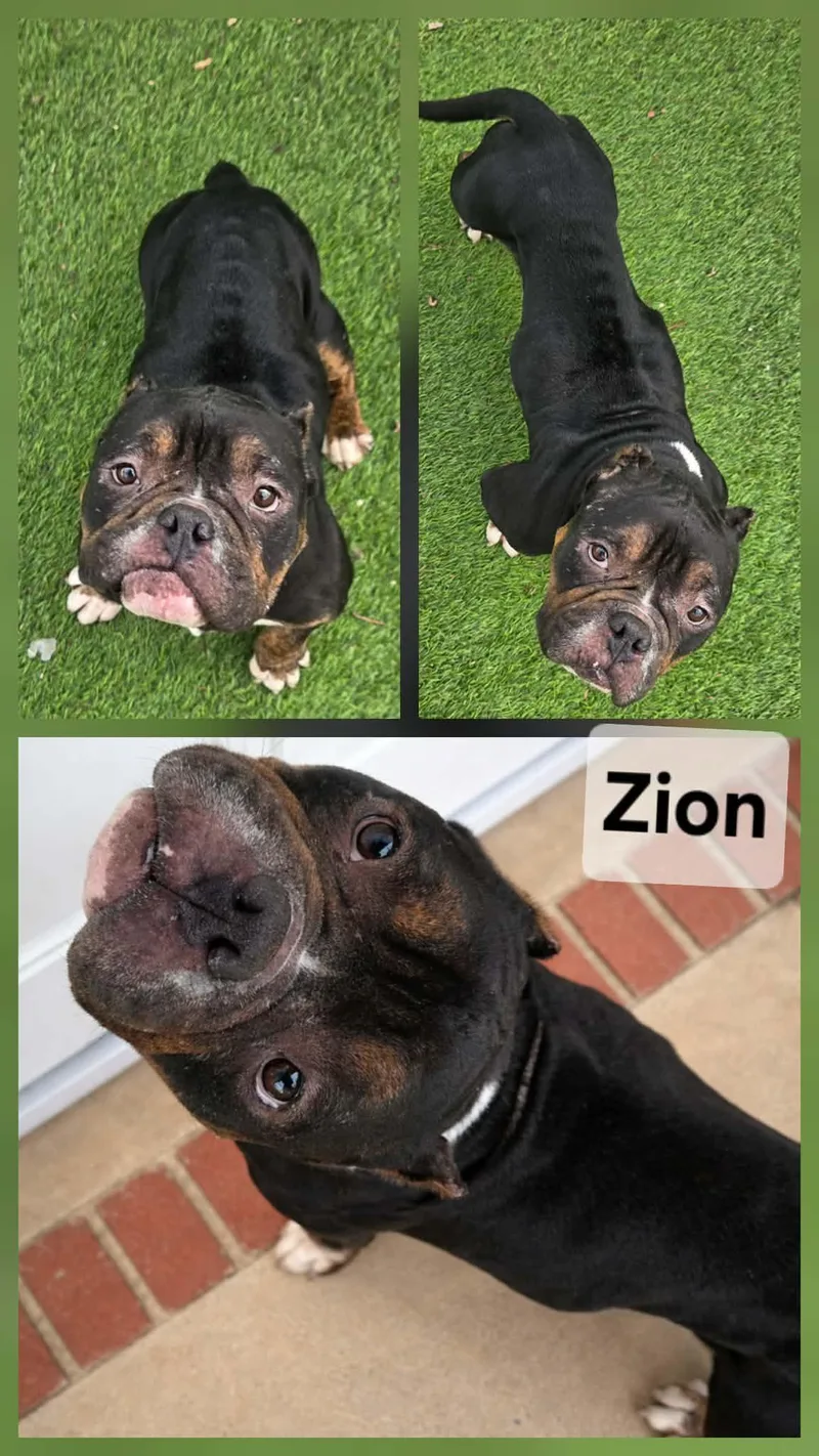 Zion