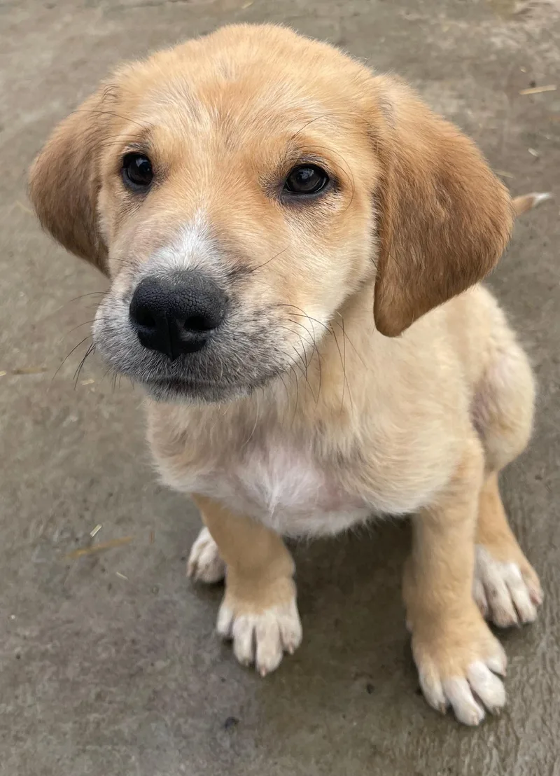 Eli Excellent thumbnail 2