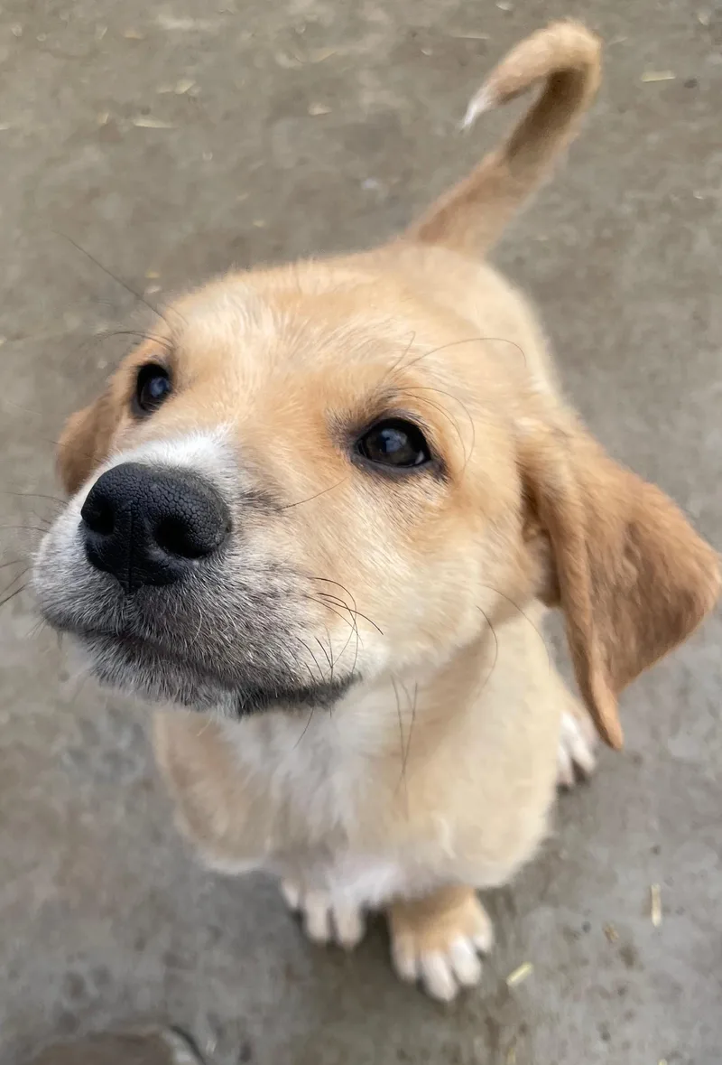 Eli Excellent thumbnail 3