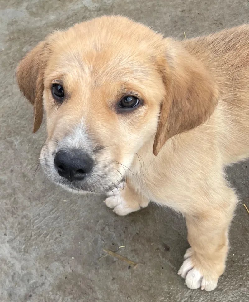 Eli Excellent thumbnail 4