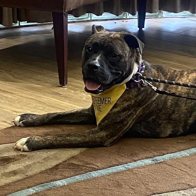 Princess Fiona thumbnail 6