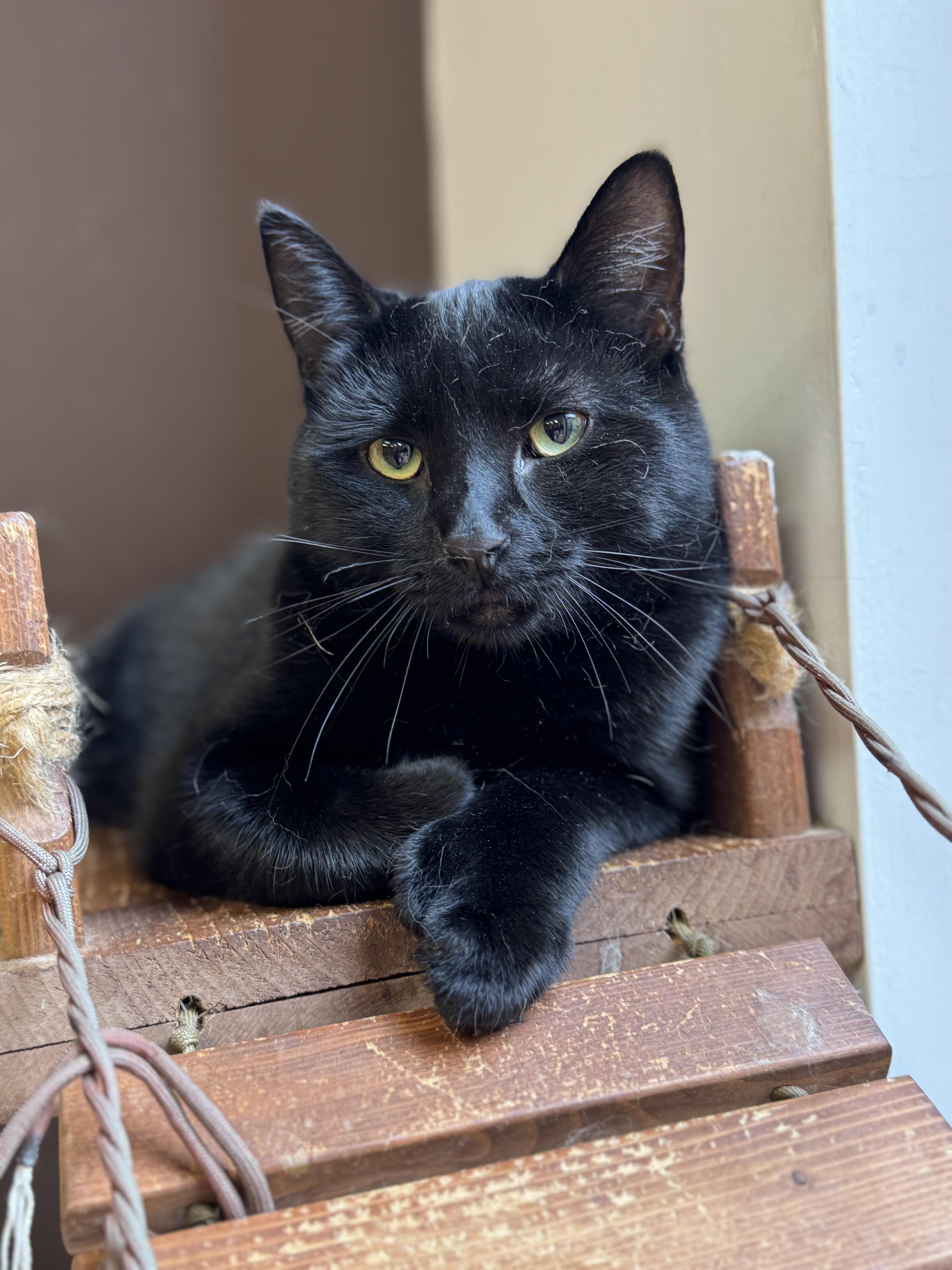 Brendan And Patrick thumbnail 4