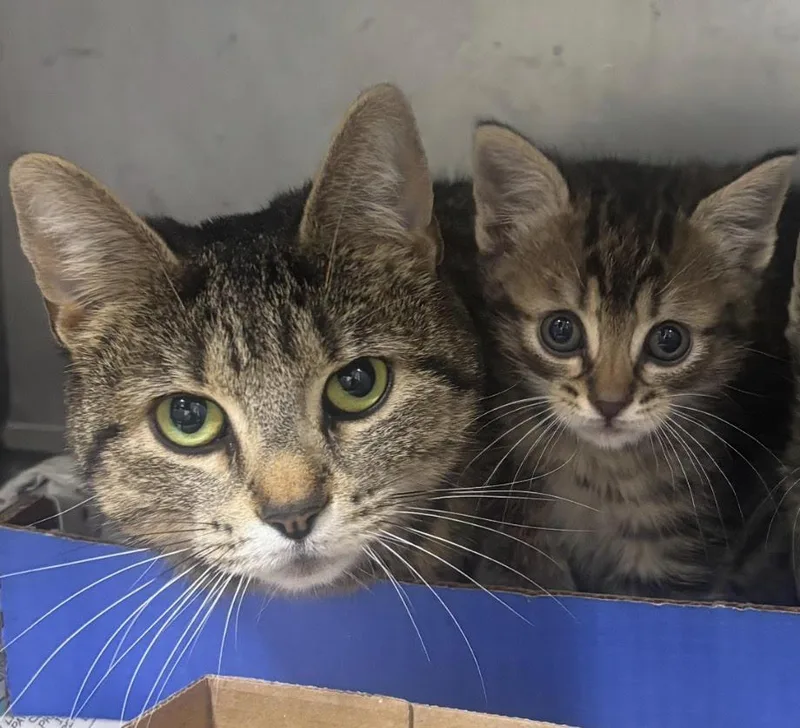 Ciara And Connor thumbnail 3