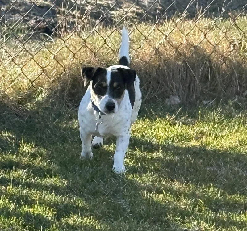 Princess thumbnail 2