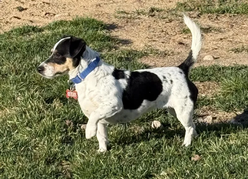 Princess thumbnail 3