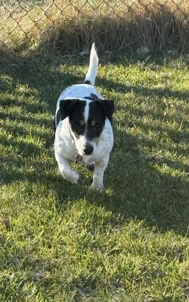 Princess thumbnail 4