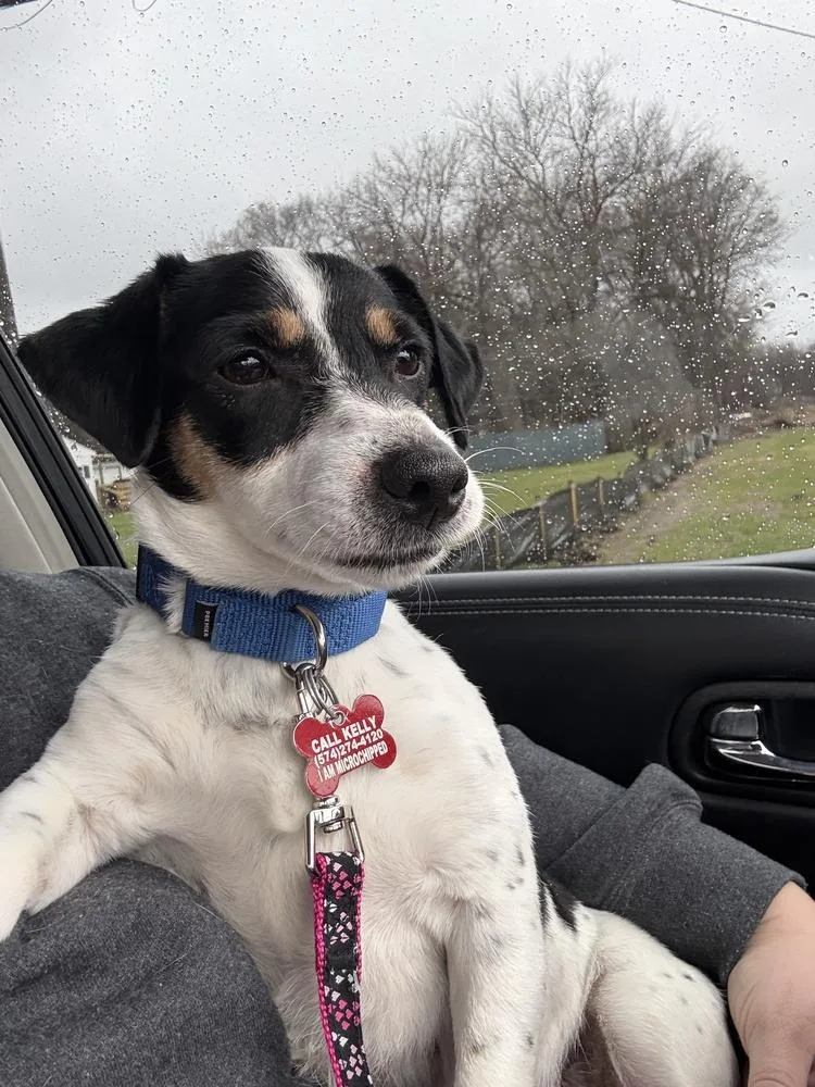 Princess thumbnail 5