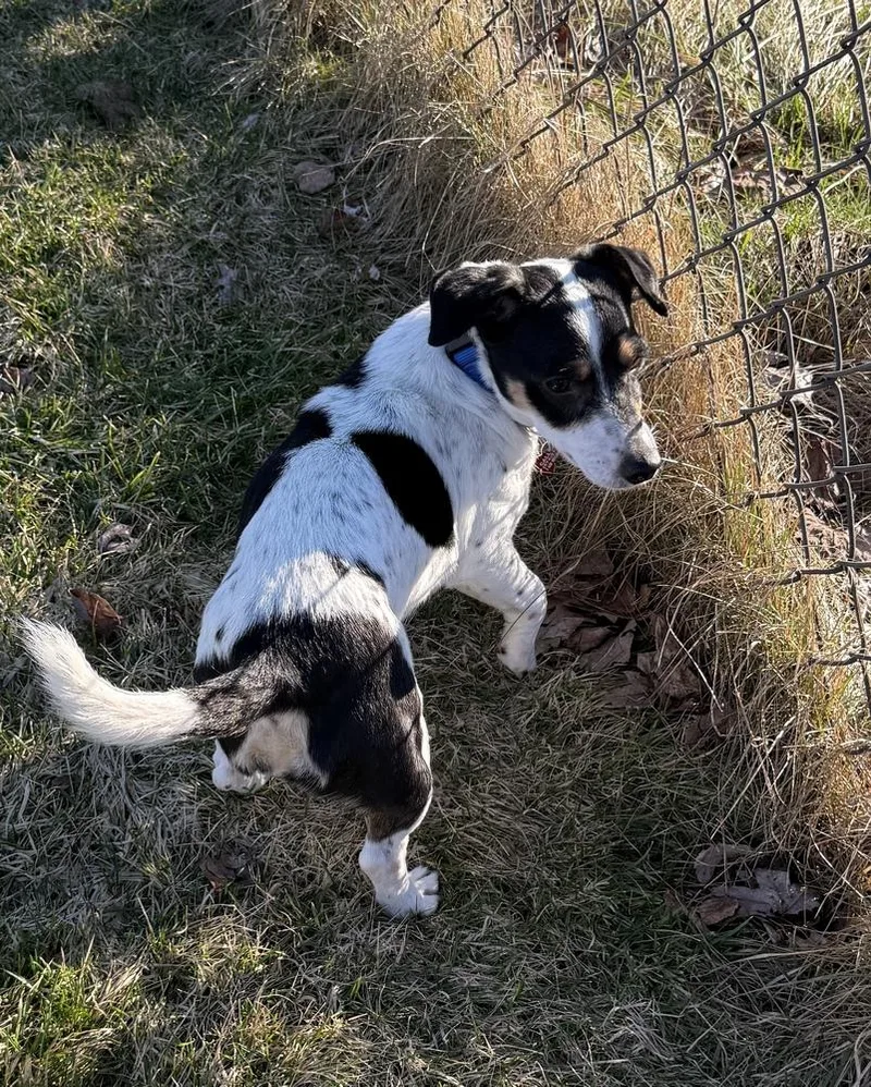 Princess thumbnail 6