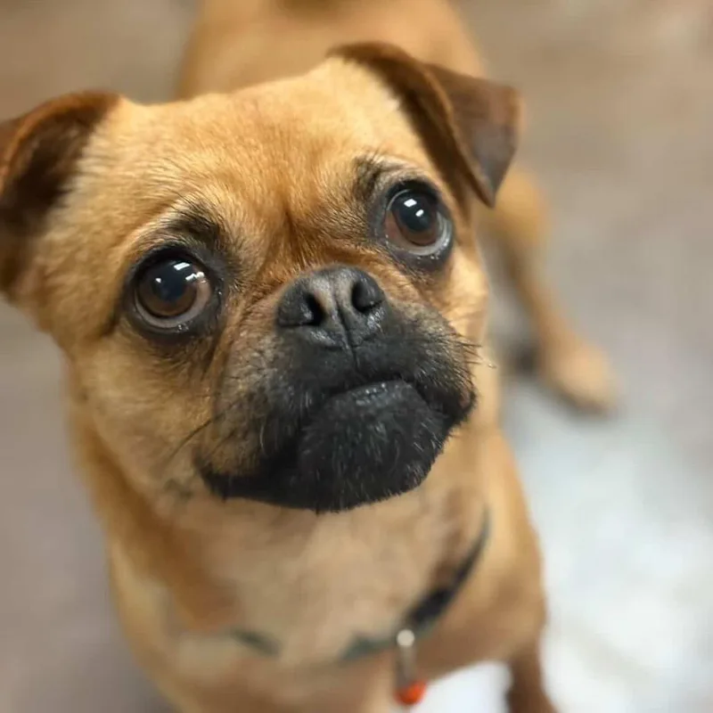 Princess thumbnail 2