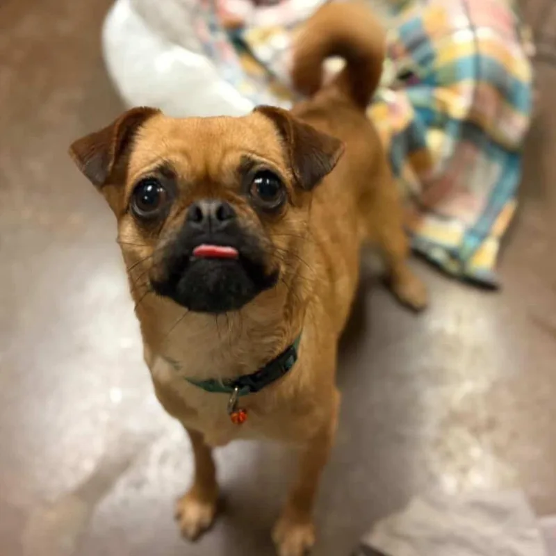 Princess thumbnail 3