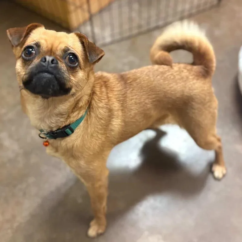 Princess thumbnail 4