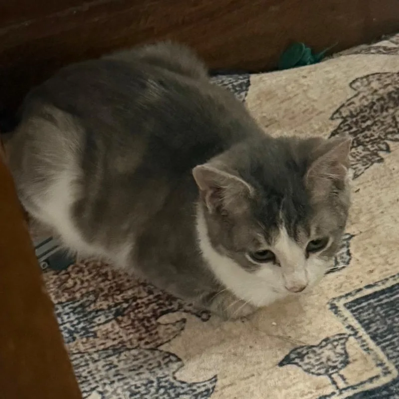 Izzy Belle thumbnail 2