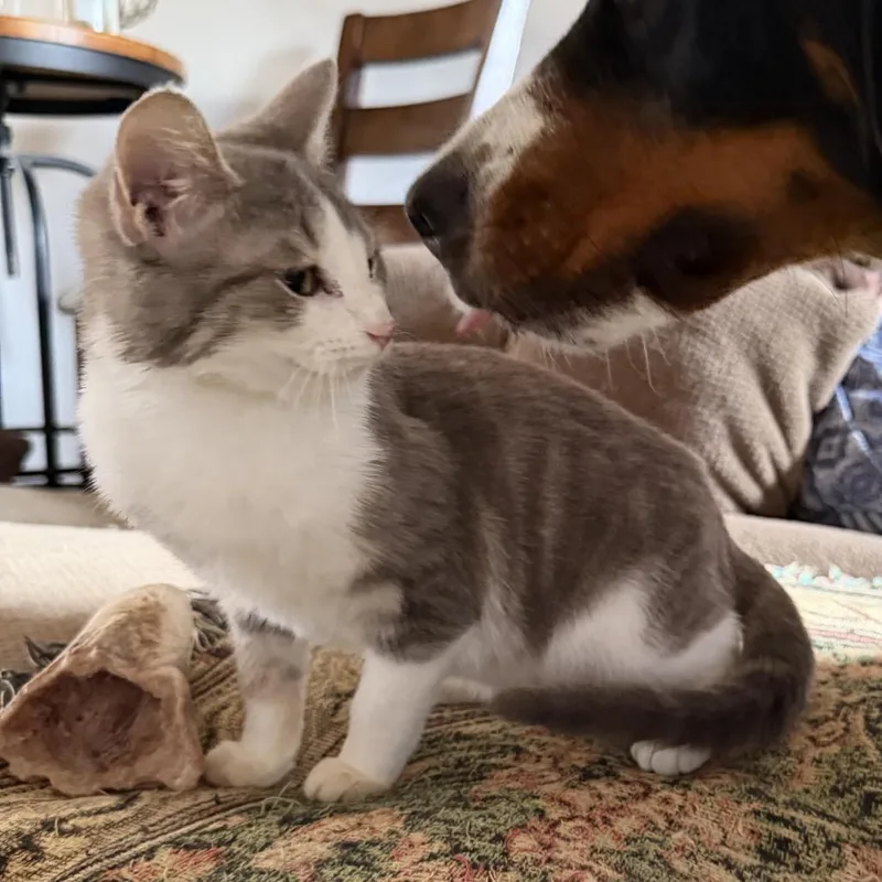 Izzy Belle thumbnail 3