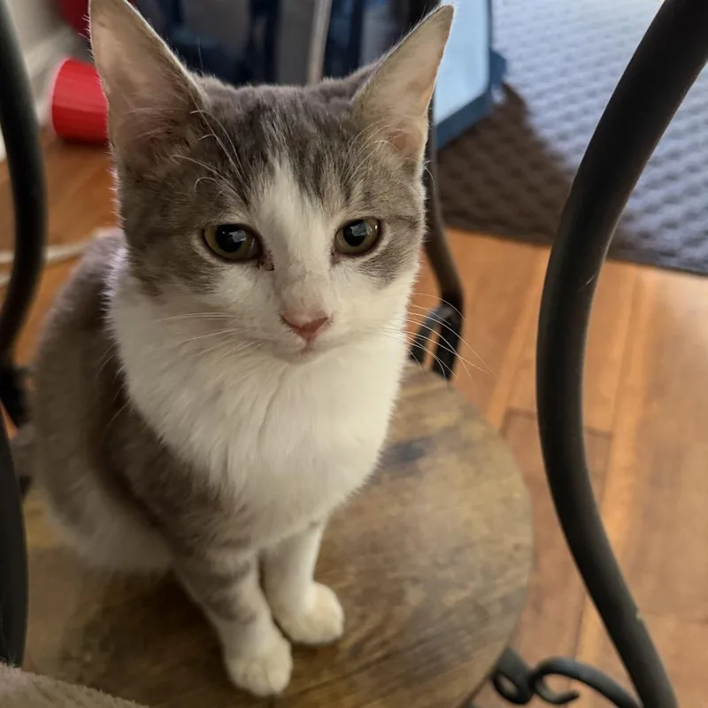 Izzy Belle thumbnail 5