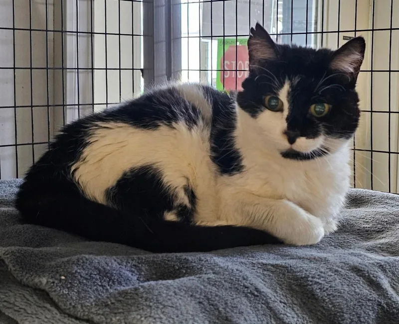 Esther Snow thumbnail 3