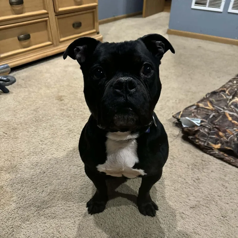 Lil Smokie thumbnail 2