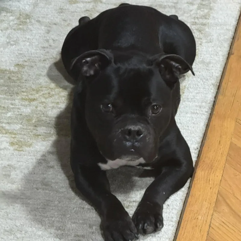 Lil Smokie thumbnail 3